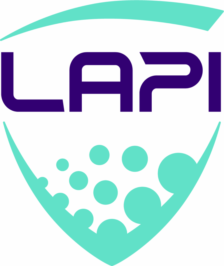 Logo oficial Liga Lapi